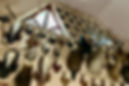IMG_9629.jpeg