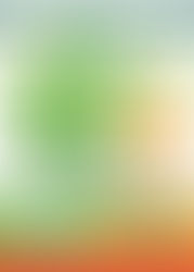 Concerts tranquilles mais bons !