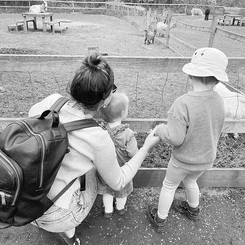 A mum and her two children looking into an animal enclosure