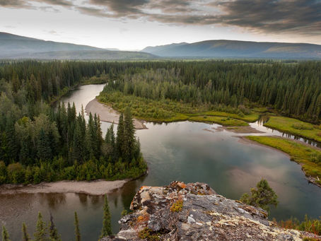 5 Essential Ways U.S. Citizens Can Protect the Environment