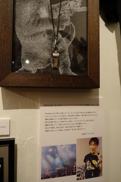 tumblr_otaknlgeur1s3jwbao2_500