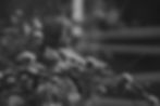 pexels-photo-7619786.jpeg