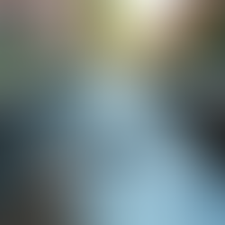 Essential Gutter Cleaning Tips for Homeowners