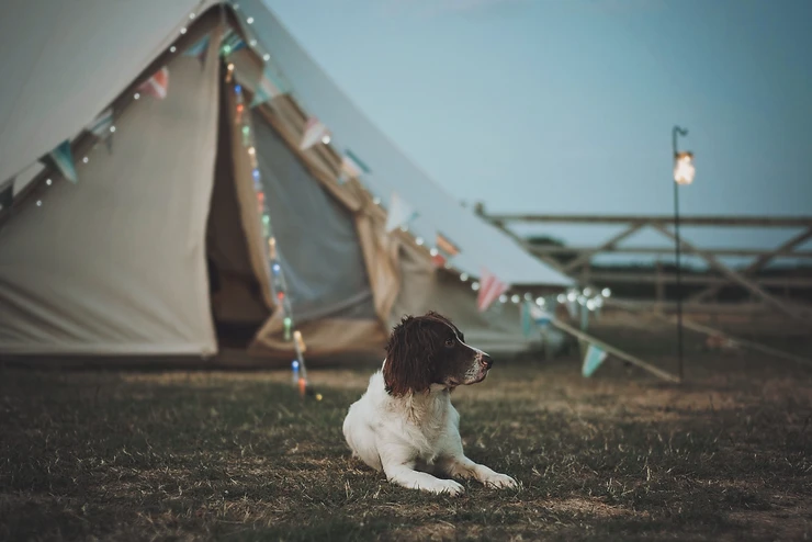 When Alfie bear came to stay with 2posh2pitch on the North Norfolk coast.