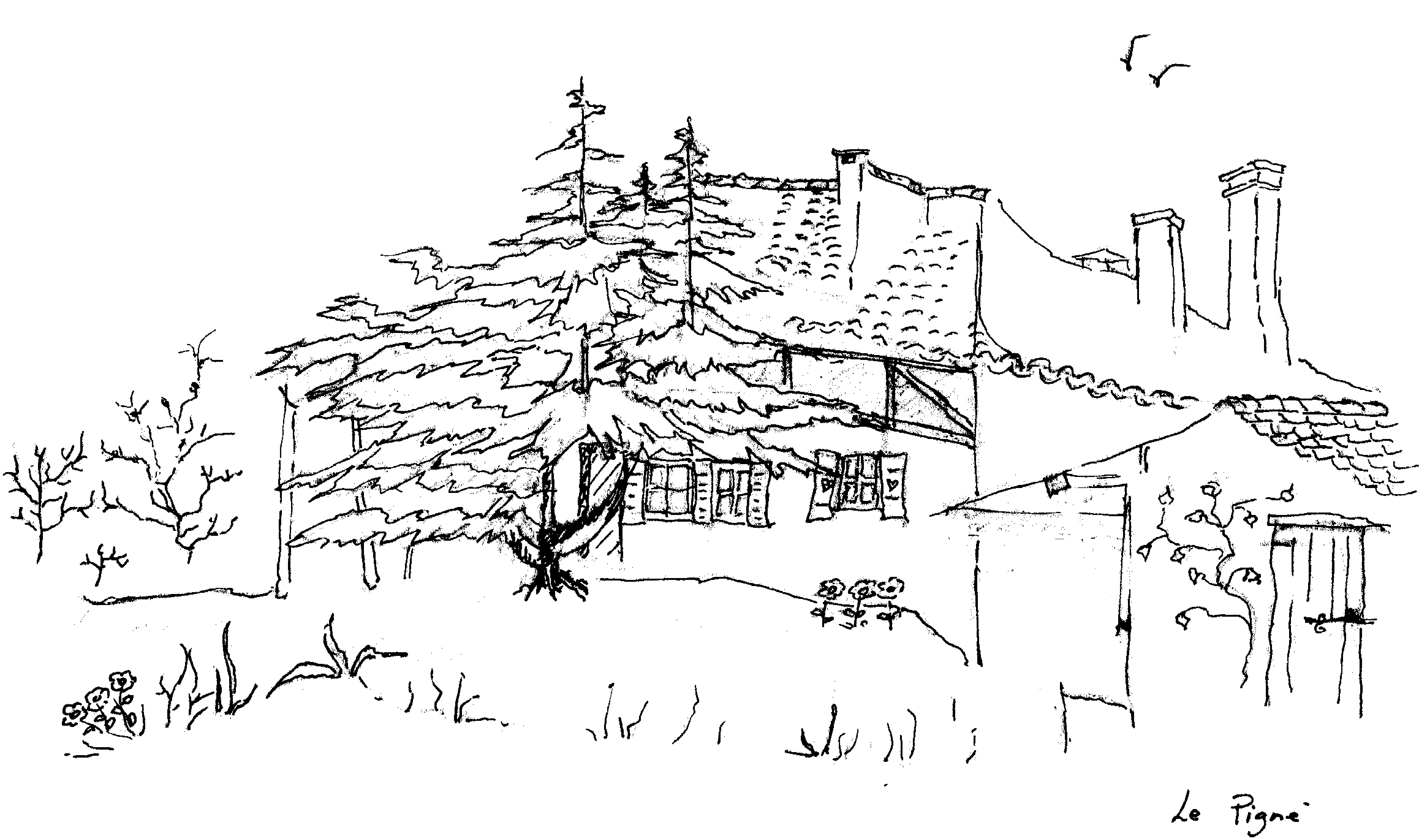 pinhier.gif