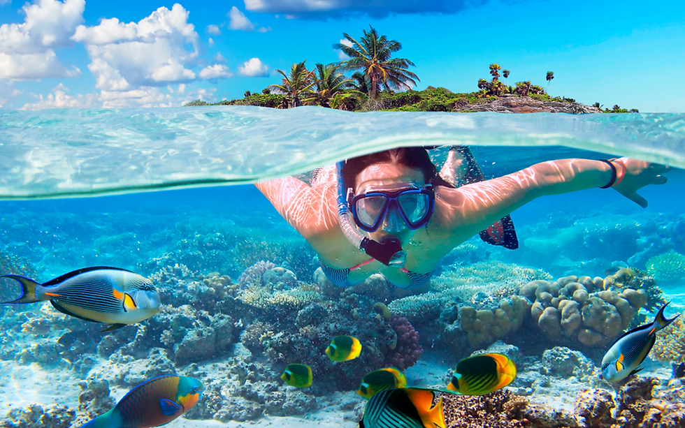 divers_back_18-1024x640