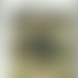 cahier des patrimoines n°2 - année 2014