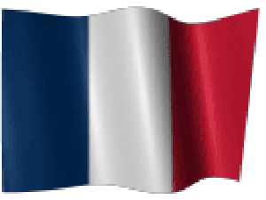 drapeau-francais.gif