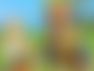 Dragon Quest XI incluirá como extra el traje del protagonista de Dragon Quest VIII.