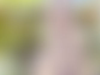 Houbunsha indica que no habrá más números de la revista Manga Time Kirara Miracle! tras el próximo.