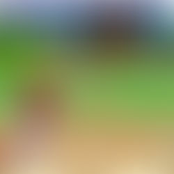 Pro Yakyuu Famista Evolution para Switch estrena tráiler de cinco minutos.