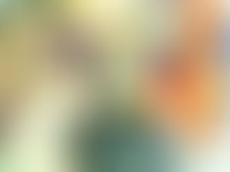 Las novelas Maria-sama ga Miteru tendrán un nuevo proyecto por su 20.º aniversario.