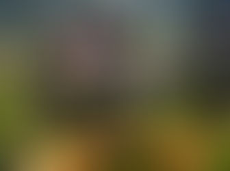 Record of Grandcrest War para PlayStation 4 muestra un primer vídeo de juego.