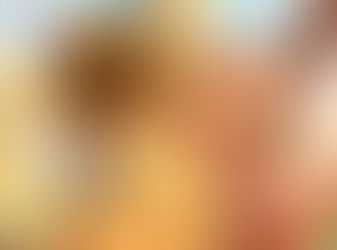 El programa japonés Oha Suta dará el 31 de mayo una increíble noticia sobre Pokémon.