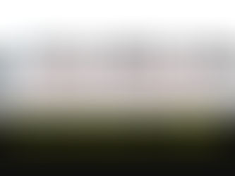 Novedades de la franquicia Full Metal Panic! para el próximo 22 de enero.