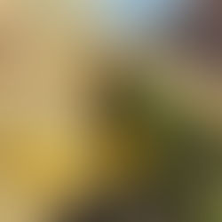 One Piece: World Seeker muestra en imágenes a Crocodile, Kuzan y Sakazuki.