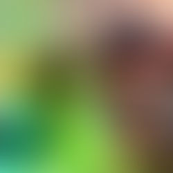 Monster Hunter Generations Ultimate para Switch tendrá demo el 16 de agosto.