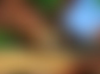 Donkey Kong Country: Tropical Freeze para Switch estrena tráiler japonés.