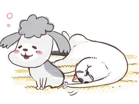 Hidekichi Matsumoto lanza el manga ‘Inu to Neko Docchi mo Katteru to Mainichi Tanoshii’