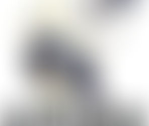 Ryu Fujisaki dibujará un nuevo manga corto de Hoshin Engi.