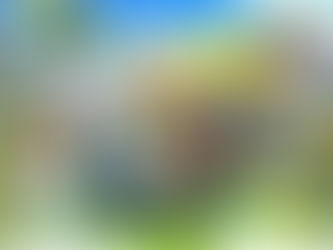 Pokémon GO prepara la llegada de los combates entre jugadores para antes de finales de año.