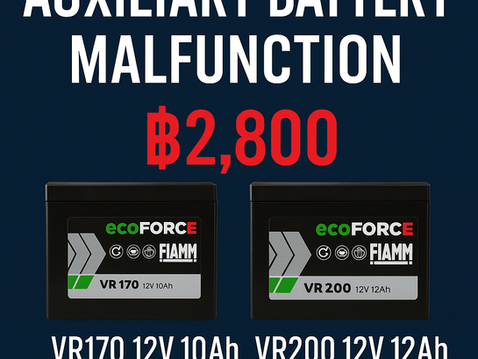 Fiamm Auxiliary Battery Malfunction 
