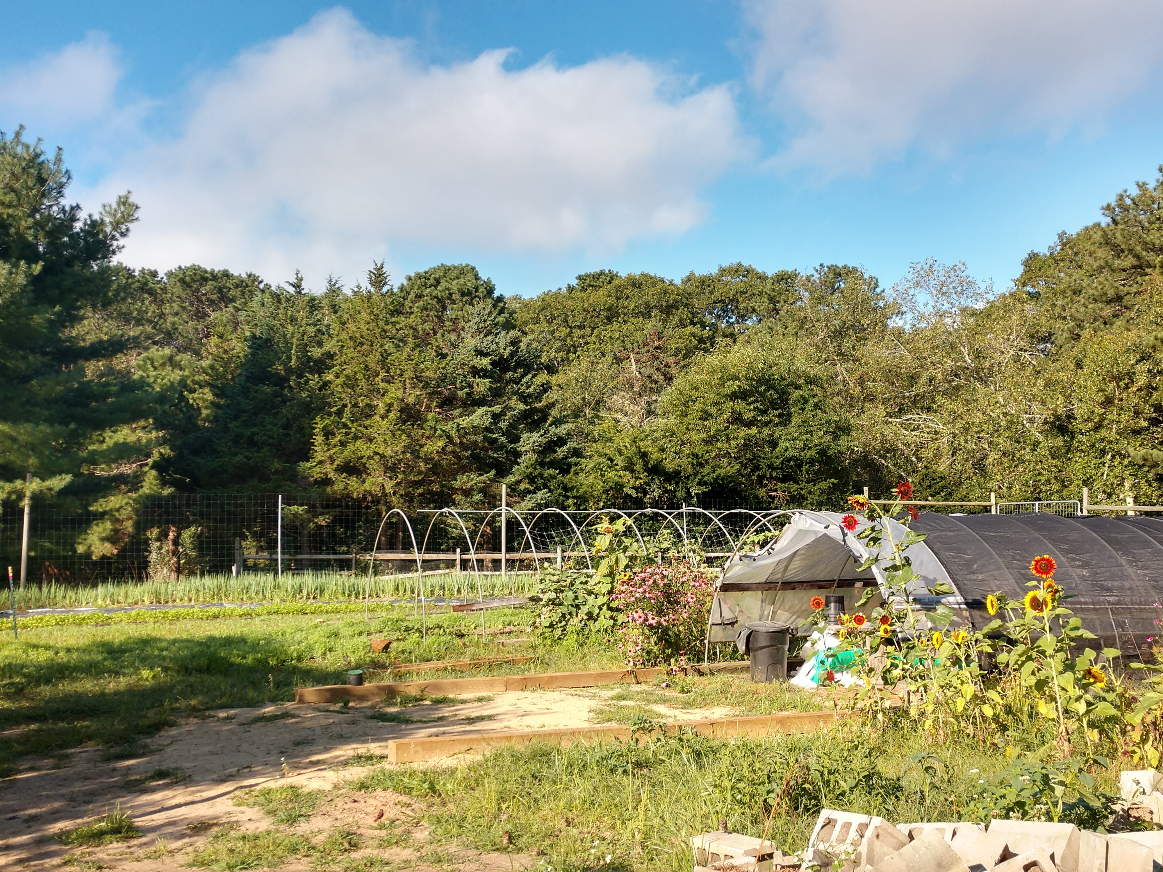 About Bootstrap Farm Club