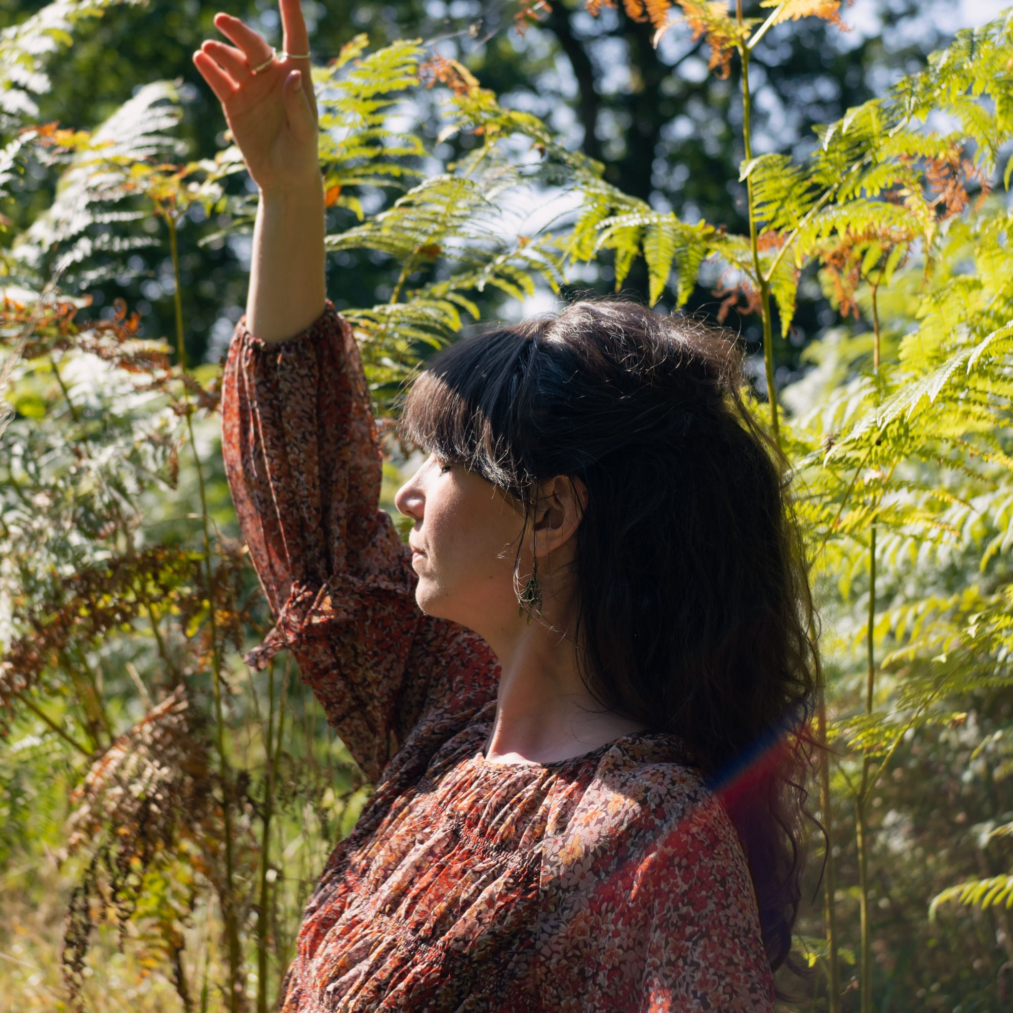 The Pause - Yoga Nidra. 23 minute long guided Meditation