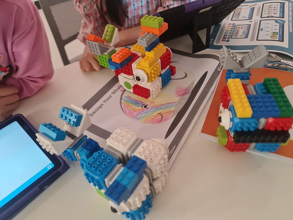 Robot Coding Class