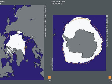 SeaIceBoth.jpeg