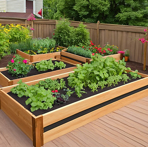 raised garden bed.jpg