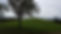 IMG-20150928-WA0004_edited.jpg