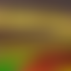 Why Do Things Go Viral on the Internet?