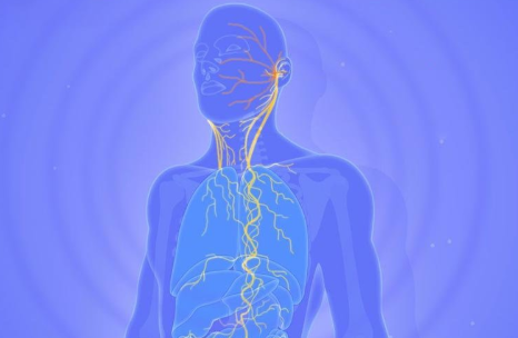 The Future of Vagus Nerve Surgeries