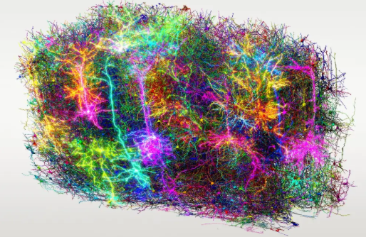 The Biggest Brain Map in History Shows the Intricate Interactions of Neurons in Our Brains