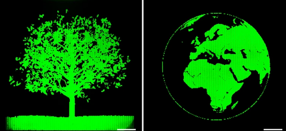 Microscopic Pixels smaller than a virus display images of a tree and globe. The white bar depicts 1 cm and acts as a comparison measure to the pixels. (Image Credit: Lian et.al/Nature)