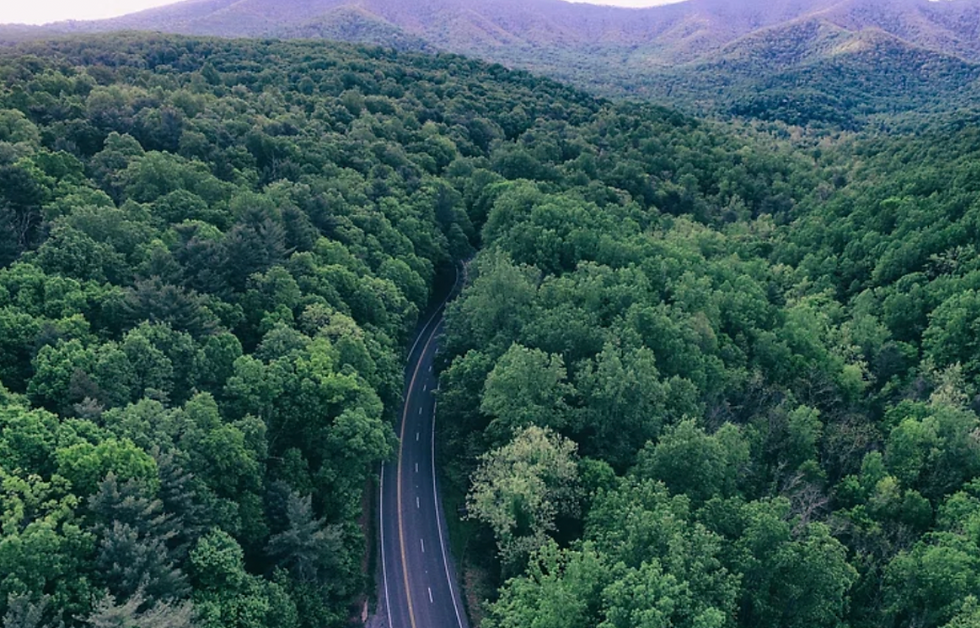 Image Credits: https://www.rawpixel.com/search/jungle%20road?page=1&path=_topics&sort=curated