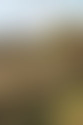 The girl who fell off the mountain