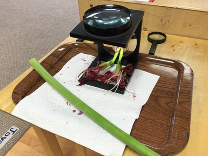 Still Struggling to Close the Achievement Gap and Educate All Children