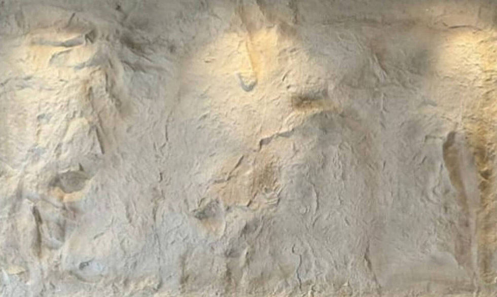 Kaya Panel | Kaya Görünümlü Panel | 516