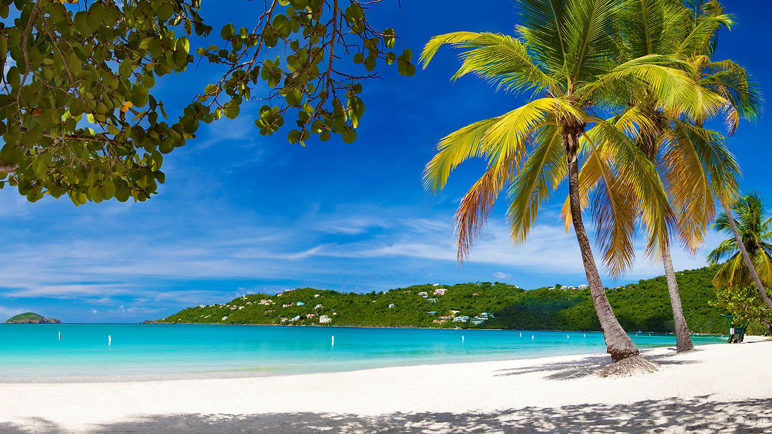 Caribbean Beach Scenery