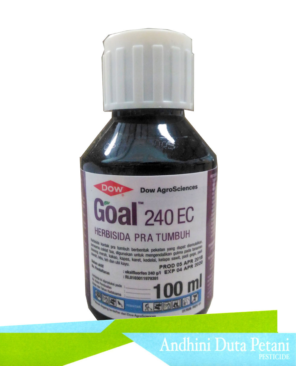 GOAL 240EC