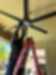 IMG_2861.jpeg