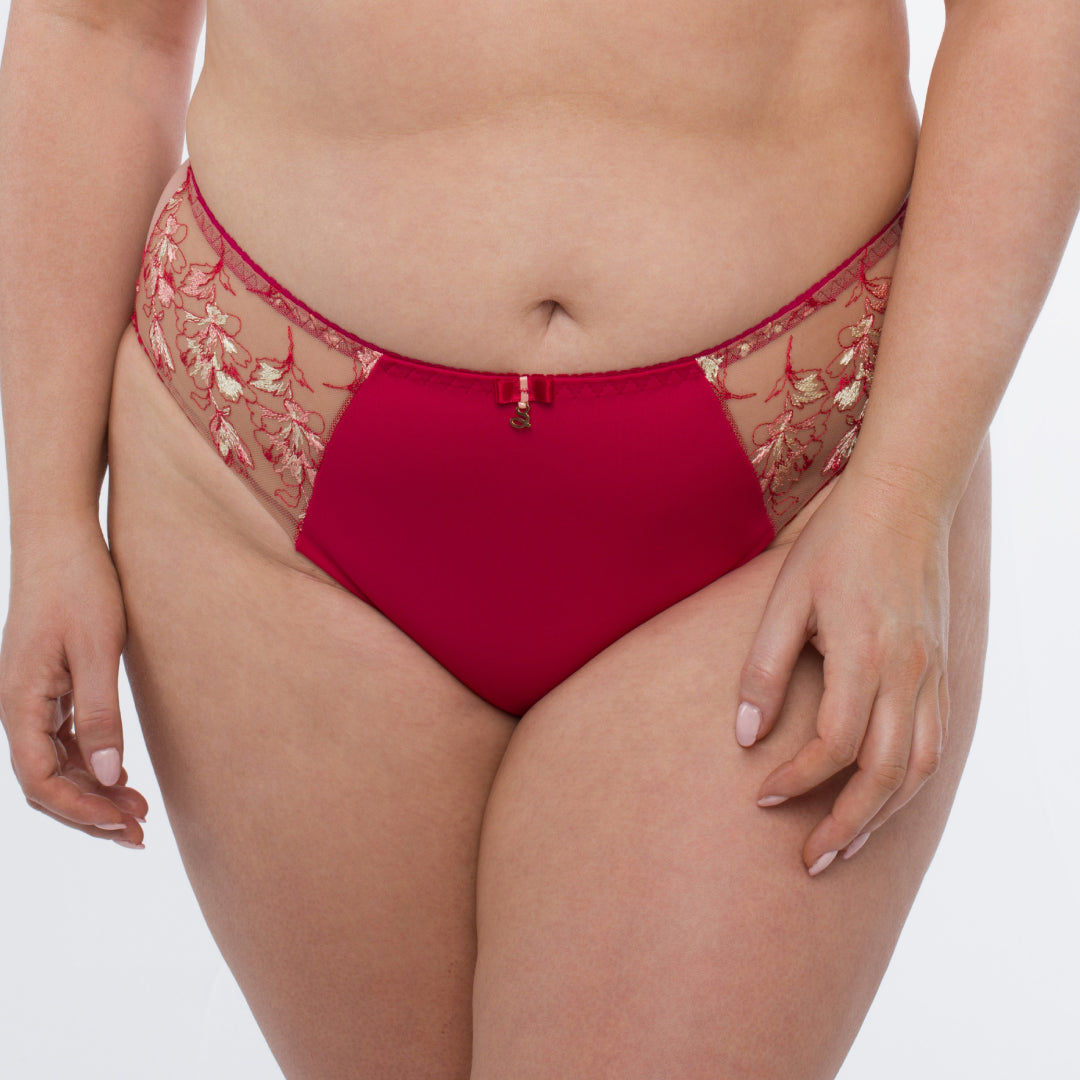 Sheer Mesh Tulle Embroidered Bikini Panty Daniela