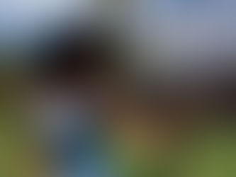 Vines & Vogue: Capturing Elegance in a Vineyard Photoshoot