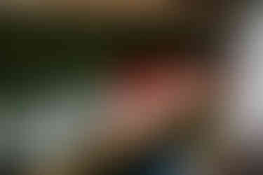 crisp wall at The Wildings in Morpeth