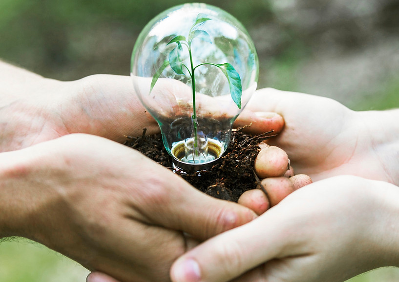 concept-plant-glass-bulb.jpg
