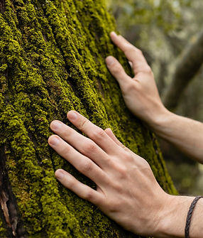 close-up-hands-touching-tree-moss.jpg
