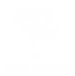 wise-green-logo-02.png