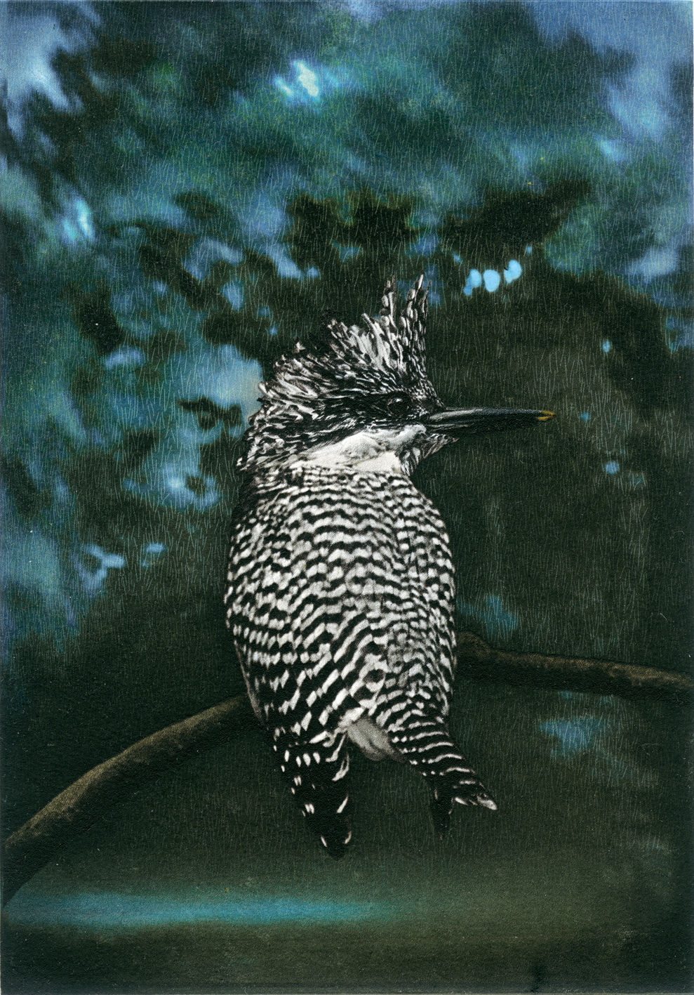 「Bird-Home Land Yamasemi」【額装】作者:馬場章